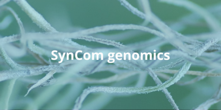 The image shows a banner with a background with plant roots and the text Syncom genomics.